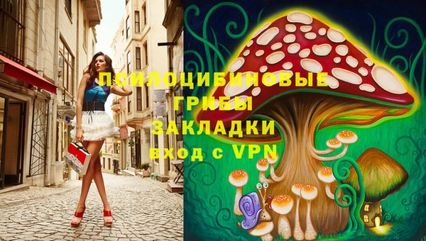 не бодяженный Осташков