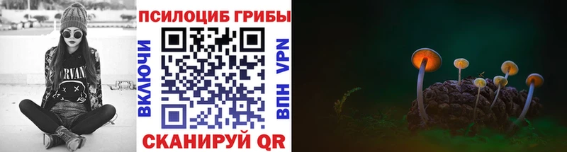 Купить  Озёрск  Галлюциногенные грибы Cubensis 
